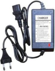 Divinext 12 Volt 1 Amp 12 Watt Battery Sprayer Charger AC DC SMPS Power Adaptor 12V 1A 12 W Adapter (Power Cord Included)