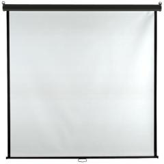 Inlight Wall Type Projector Screen Size: 4 Ft. x 4 Ft. In Imported High Gain Fabric With 1.2 Gain