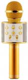 Quick Deal WS 858 Golden Microphone and Bluetooth Speaker