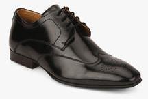 Alberto Torresi Black Derby Brogue Formal Shoes men