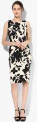 Dorothy Perkins Lily And Frank Mono Bodycon women