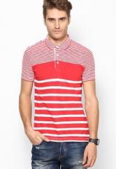 French Connection Red Stripes Polo T Shirt men