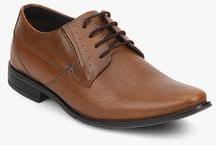 Lee Cooper Tan Formal Shoes men