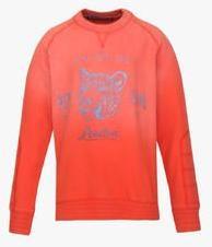 Pepe Jeans Orange Sweatshirt boys