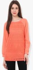 Rena Love Orange Solid Sweatshirt women