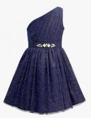 The Cranberry Club Navy Blue Party Dress girls