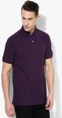 Tommy Hilfiger Purple Solid Polo T Shirt women