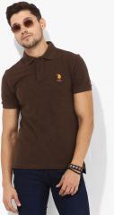 U S Polo Assn Brown Solid Regular Fit Polo T Shirt men