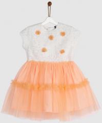 Yk Peach Self Design Fit And Flare Dress girls
