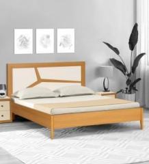 Trevi Matrix Engineered Wood Queen Bed