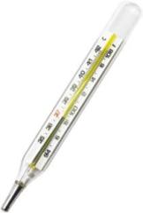 Easycare Large Oval Mercury Thermometer for Kids & Adults | Clinical Thermometer with Storage Case Thermometer