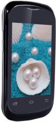 Iball Pearl D3