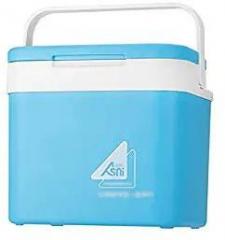 Belity 10 Litres Portable Car Refrigerator Ice Bucket Mini Fridge Cooler And Warmer Picnic Icebox For Skincare Snacks Cans Home And Travel