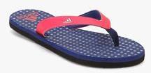 Adidas Adilomp Red Flip Flops women