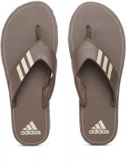 Adidas Brown Synthetic Thong Flip Flops men