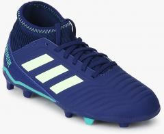 Adidas Predator 18.3 Fg J Grey Football Shoes boys