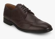 Alberto Torresi Brown Derby Brogue Formal Shoes men