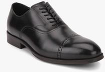 Aldo Carlus Black Oxford Brogue Formal Shoes men