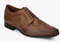 Arrow Acton Brown Derby Brogue Formal Shoes men