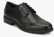 Arrow Black Derby Brogue Formal Shoes men
