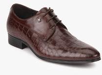 Arrow Brown Derby Formal Shoes men
