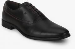 Arrow Chester Coffee Brown Formal Shoes men
