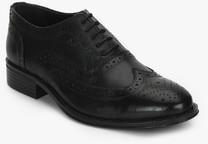 Arrow Cloey Oxford Black Brogue Formal Shoes men