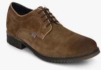 Arrow Derry Brown Derby Formal Shoes men