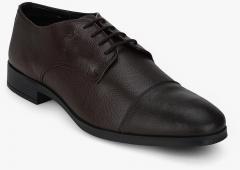 Arrow Grays Brown Derbys Formal Shoes men