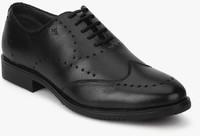 Arrow Luke Black Oxford Brogue Formal Shoes men