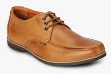 Buckaroo Easton Tan Derby Formal Shoes men