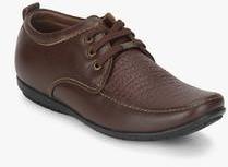 Egoss Brown Derby Formal Shoes men