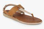 Ginger By Lifestyle Brown Solid T Strap Flats women