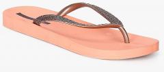 Ipanema Brown Solid Thong Flip Flops women