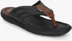 Lee Cooper Black Comfort Sandals men