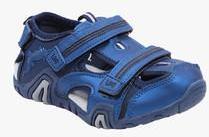 Lilliput Navy Blue Sandals boys