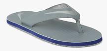 Nike Chroma Thong 5 Grey Flip Flops men