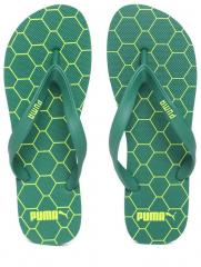 Puma Green Thong Flip Flops men