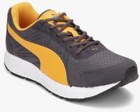 Puma Modify Dp Grey Running Shoes men