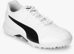 Puma Virat Kohli Evospeed One8 R White Cricket Shoes men