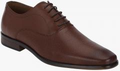 Red Tape Coffee Brown Oxfords Formal Shoes men