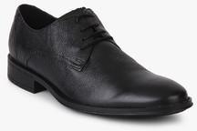 Ruosh Black Brogue Formal Shoes men