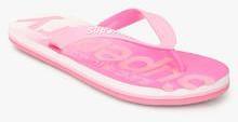 Superdry Faded Pink Flip Flops women