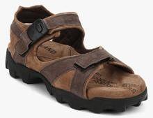 Woodland Brown Sandals men