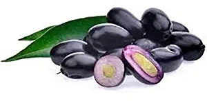 Win Jamun Tablets Tablets 60 Tablets Pure Ayurvedic Jamun Tablets With Multipale Benefits.