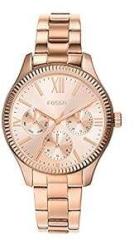 Fossil Rye Analog Rose Gold Dial and Band Women's Stainless Steel Watch BQ3691