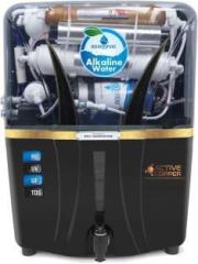 Aquadpure ORP With Goodness of Copper + Alkaline, Suitable for All type Water supply 12 Litres RO + UV + UF + TDS + Copper Water Purifier