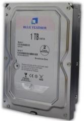 Blue Feather Drive 1 TB All in One PC's Internal Hard Disk Drive (HDD, BFDTOIS, Interface: SATA, Form Factor: 3.5 inch)
