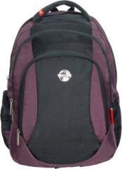 Cosmus 17 inch Laptop Backpack