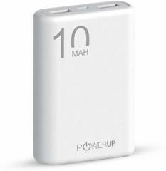 Powerup Stay Charged 10000 mAh Power Bank (Lithium Polymer)